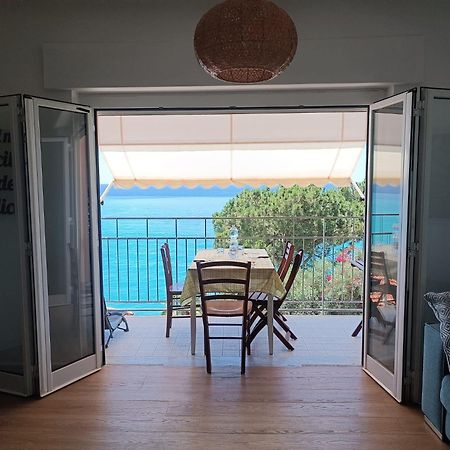 La Casa Alle Calandre ヴェンティミーリア エクステリア 写真